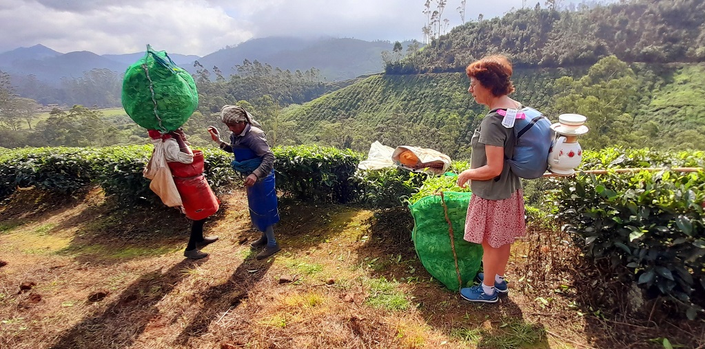 &copy; Marie-Line Kercret     plasticienne :: 